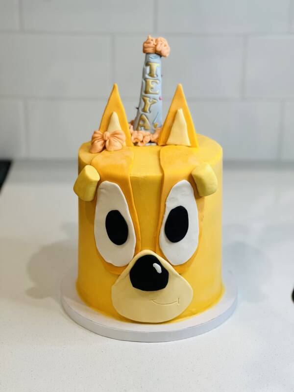 🎂 Bluey Birthday Cake 🐾