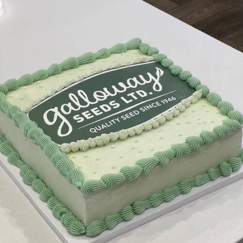 ⸻

🍰 Custom Slab Cake – 12 × 12 Inch