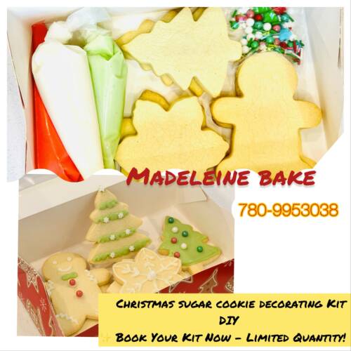 Christmas Sugar Cookie Decorating Kit 🎄